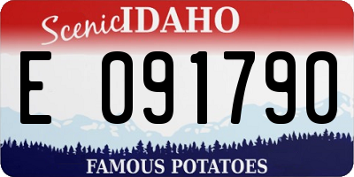 ID license plate E091790