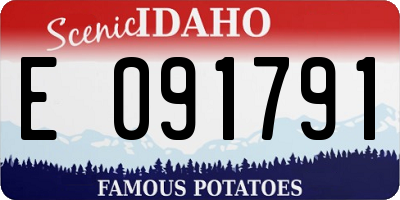 ID license plate E091791