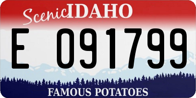 ID license plate E091799