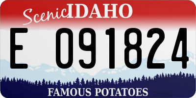ID license plate E091824