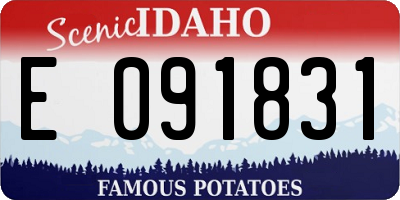 ID license plate E091831