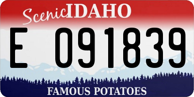 ID license plate E091839