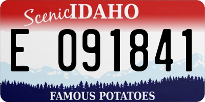 ID license plate E091841