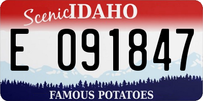 ID license plate E091847