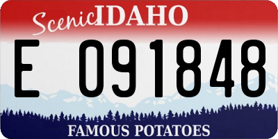 ID license plate E091848
