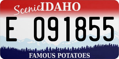 ID license plate E091855