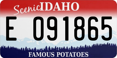 ID license plate E091865