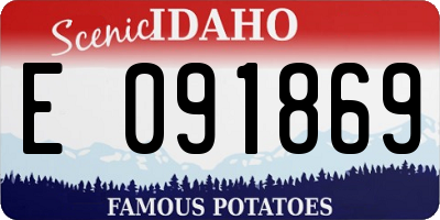 ID license plate E091869