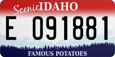 ID license plate E091881