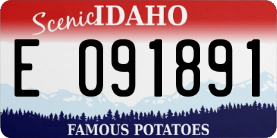 ID license plate E091891