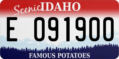 ID license plate E091900