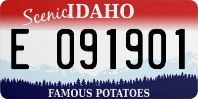 ID license plate E091901