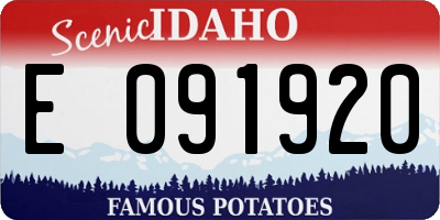 ID license plate E091920