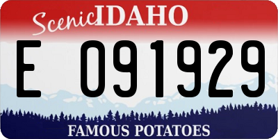 ID license plate E091929