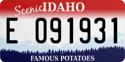 ID license plate E091931