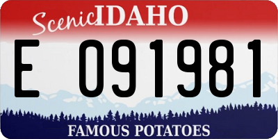 ID license plate E091981