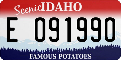 ID license plate E091990