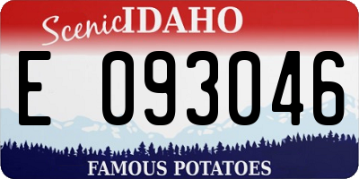 ID license plate E093046