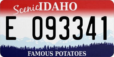 ID license plate E093341