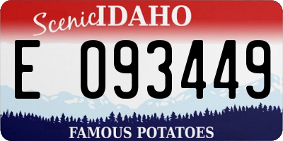 ID license plate E093449