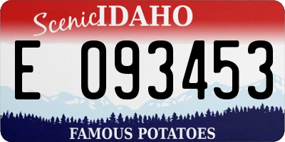 ID license plate E093453