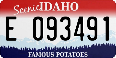 ID license plate E093491