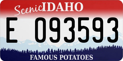 ID license plate E093593