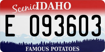 ID license plate E093603