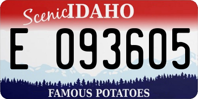 ID license plate E093605