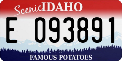 ID license plate E093891