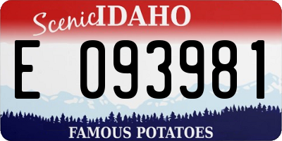 ID license plate E093981
