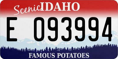 ID license plate E093994