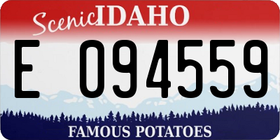 ID license plate E094559