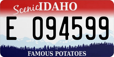 ID license plate E094599