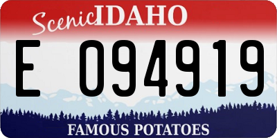 ID license plate E094919