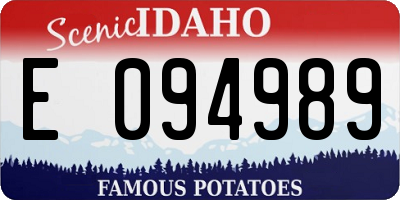 ID license plate E094989