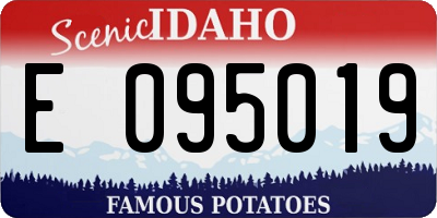 ID license plate E095019