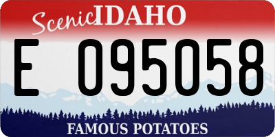 ID license plate E095058