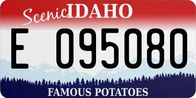 ID license plate E095080