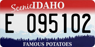 ID license plate E095102
