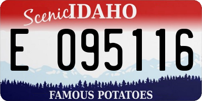 ID license plate E095116