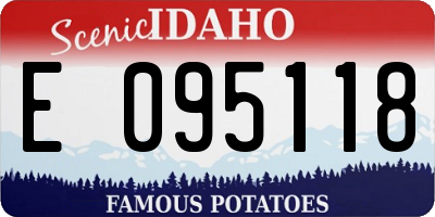 ID license plate E095118
