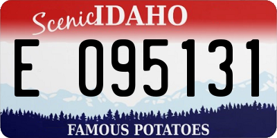 ID license plate E095131