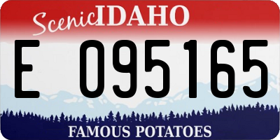 ID license plate E095165