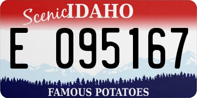 ID license plate E095167