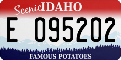 ID license plate E095202