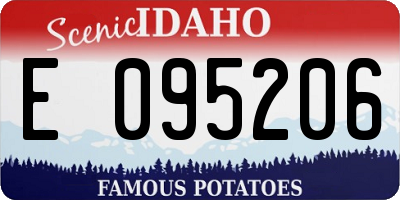 ID license plate E095206