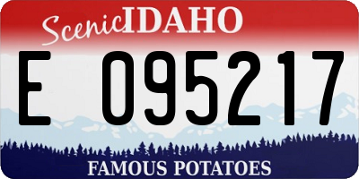 ID license plate E095217