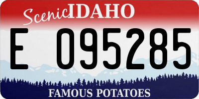 ID license plate E095285