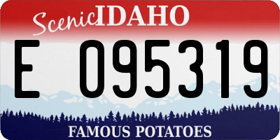 ID license plate E095319